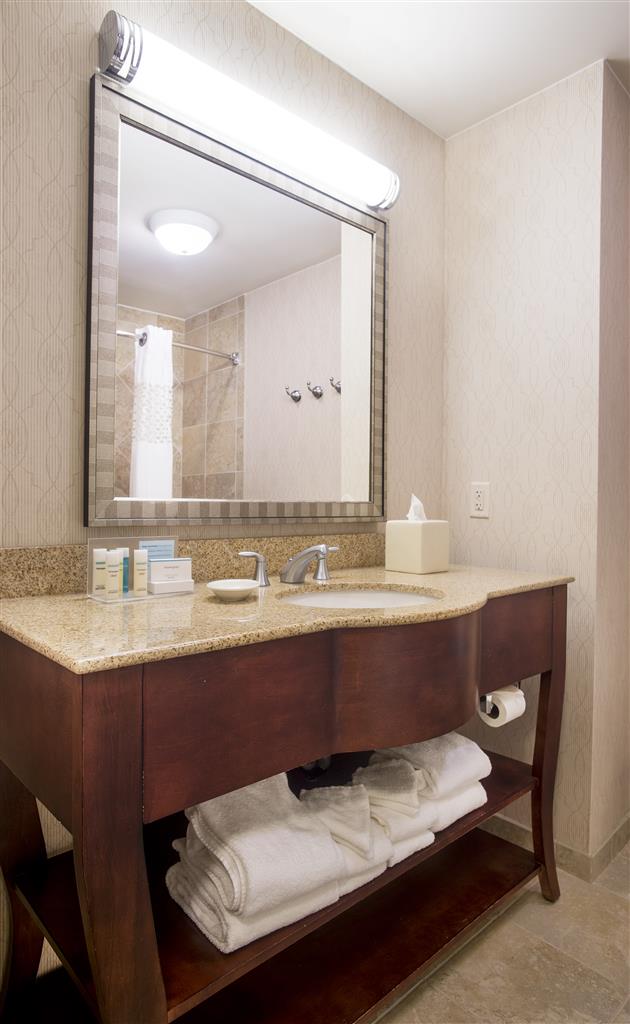 Hampton Inn & Suites Washington-Dulles International Airport , DC 20166 near Washington Dulles International Airport View Point 23