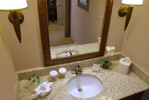 Homewood Suites by Hilton Baltimore-Washington Intl Apt , MD 21090 near Baltimore-washington International Thurgood Marshall Airport View Point 24