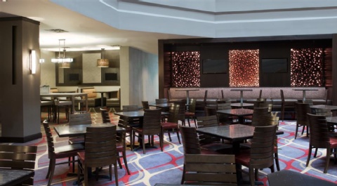 Embassy Suites by Hilton Dulles Airport , VA 20171 near Washington Dulles International Airport View Point 13