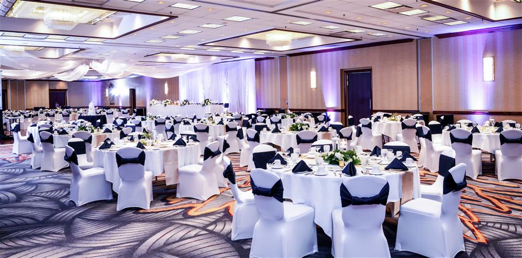 DoubleTree by Hilton Chicago/Alsip , IL 60803 near Midway International Airport View Point 2
