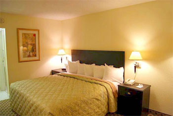Surestay by Best Western DFW Airport North , TX 75034 near Dallas-fort Worth International Airport View Point 5