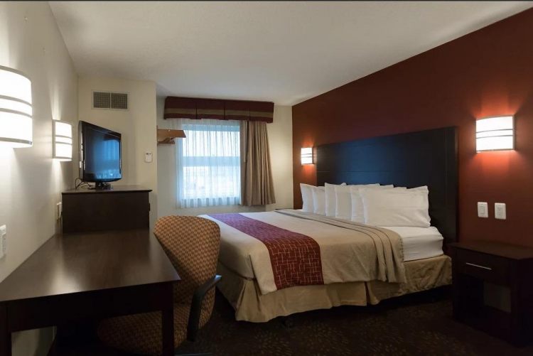 Travelodge Romulus Detroit Airport , Detroit 48174 near Detroit Metropolitan Wayne County Airport View Point 3