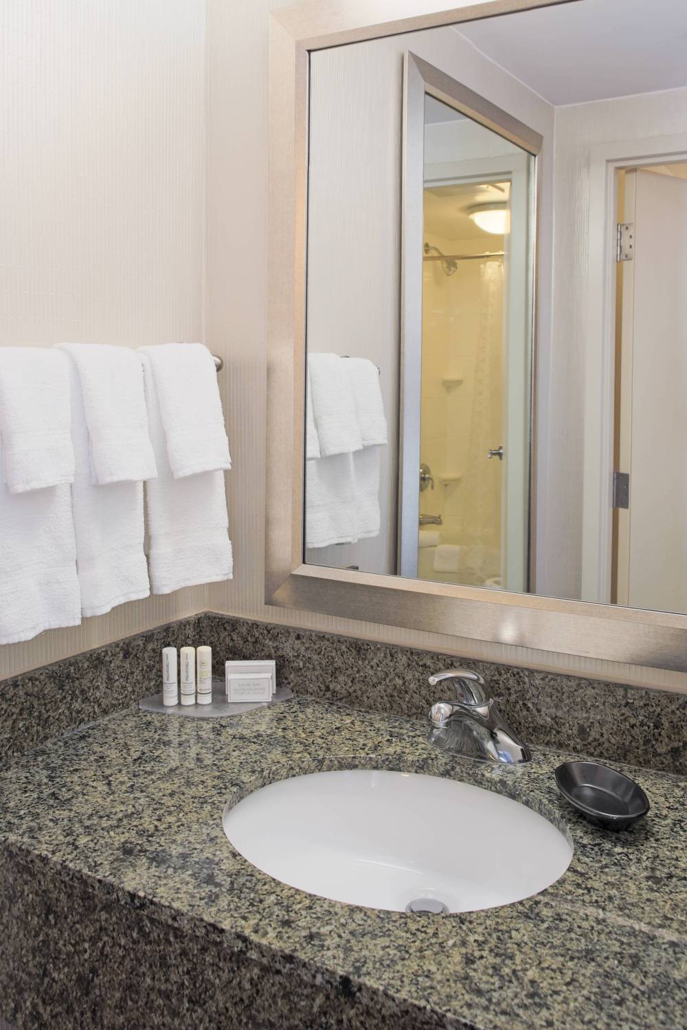 Studio Suite Guest Bathroom